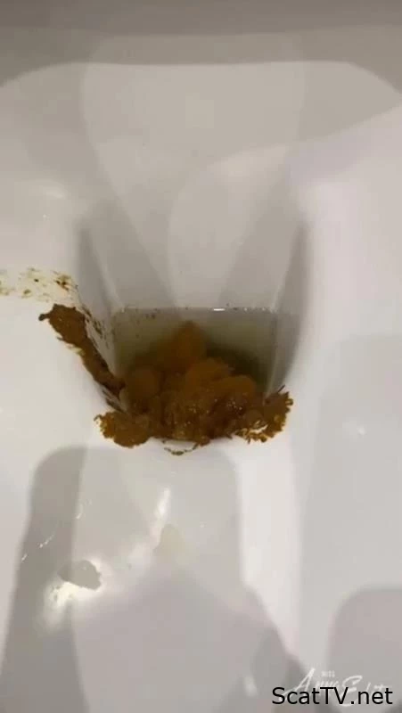 A big pile of shit in the toilet. P1 - Nutella With Shit, Anal Toys, Pie With Shit