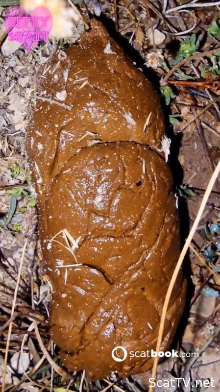 Open Field Outdoor Poo on Festival. P1 - Dirty Garden Girl, Big Turd, Scatslammers