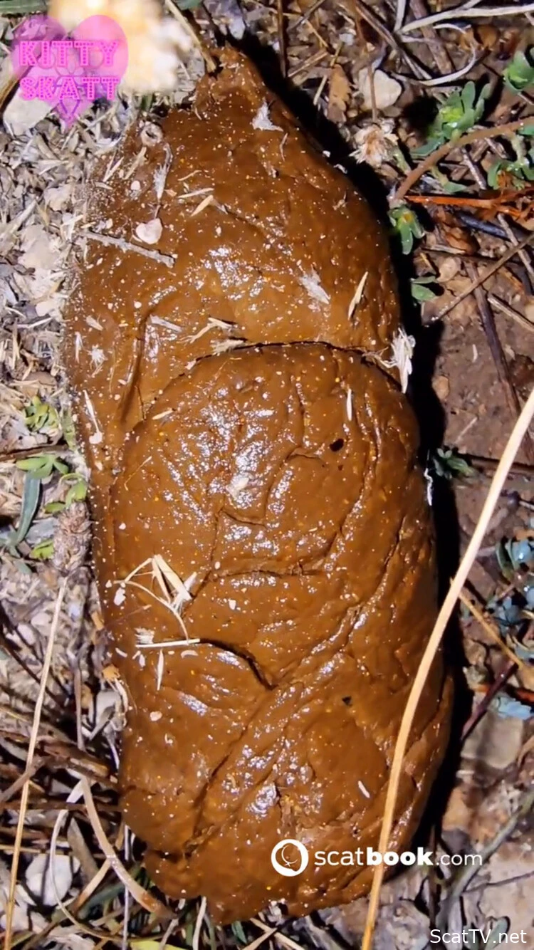 Open Field Outdoor Poo on Festival. P1 - Dirty Garden Girl, Big Turd, Scatslammers