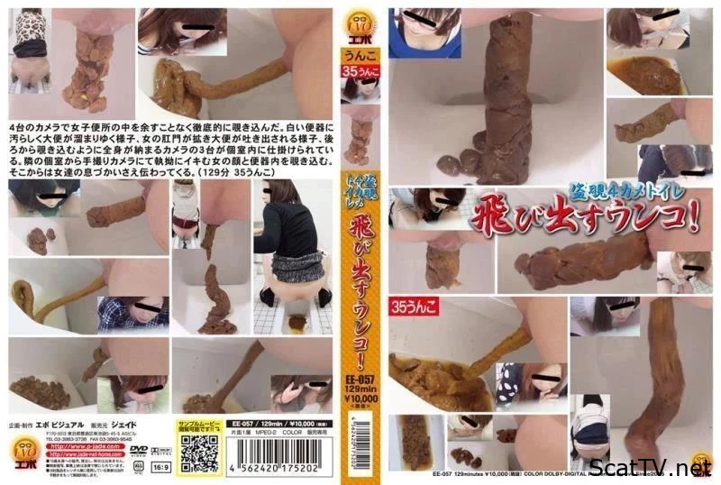 EE-057 盗撮 便所駆け込みOL パンティずらし下痢便 ～嘆きの洋式便所編～ コスチューム Diarrhea - Bladder, Free Scat Download, Coprophagy Sex