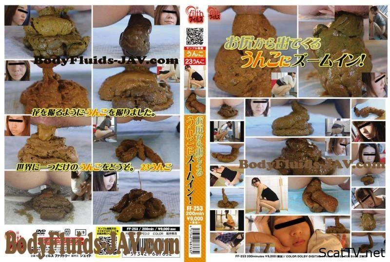 FF-253 Defecation The Zoom In Anal 排便ザ・ズームインアナル - Voyeur, Ketchup With Shit, Big Shit Pile