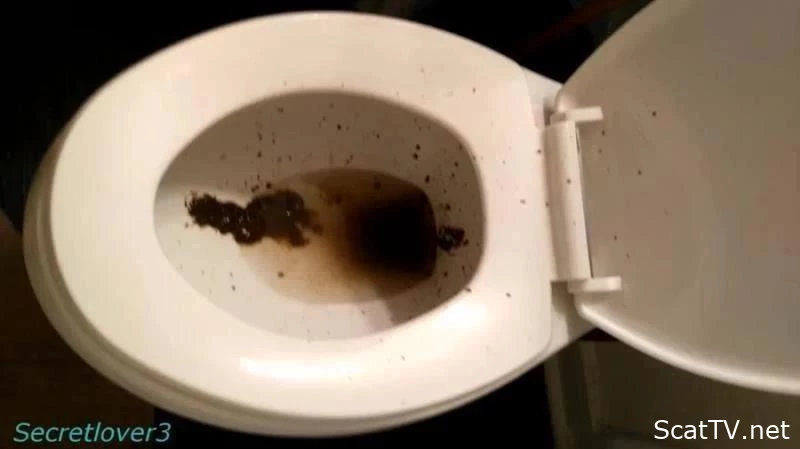 Toilet Spray - Secretlover3 - Desserts With Shit, Object Anal Insertion, Brown Clot Of Shit