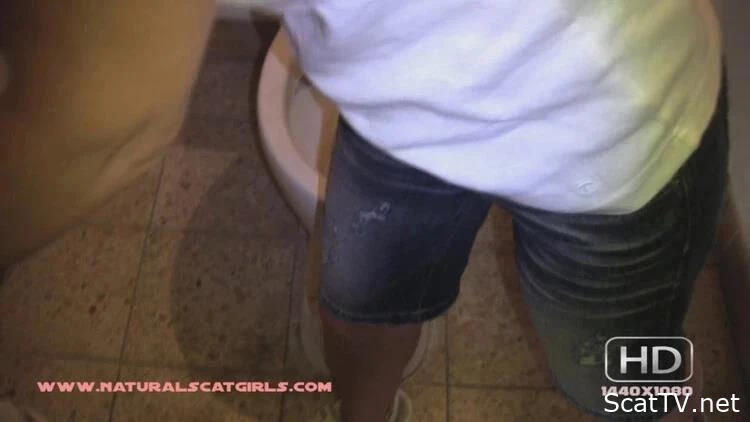 Natural huge log of poop in a public toilet. P1 - English Scat, Teen Scat, Films Scat