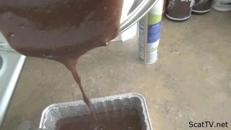 Chocolate Brownie Poop Cake - JessicaKayting - Degradation, Servings Of Shit, Shitting In Panties