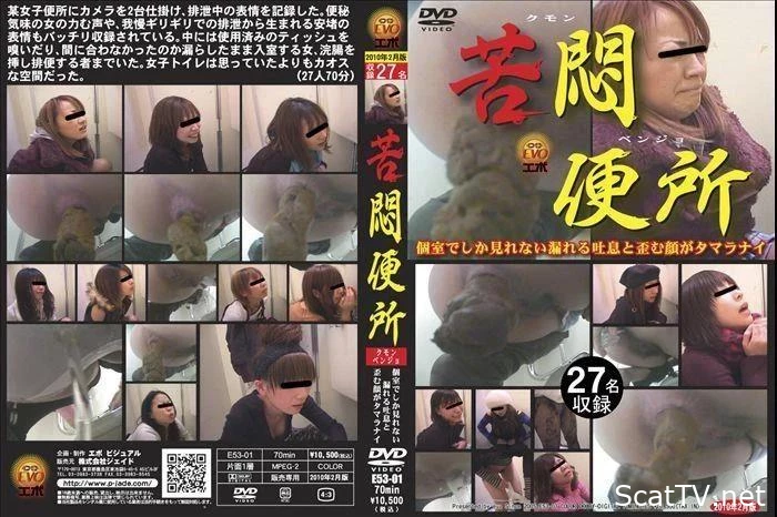 E53-01 Muffled sighs girls defecation in toilet. - Online Scat, Shit Eating, Anal Fisting