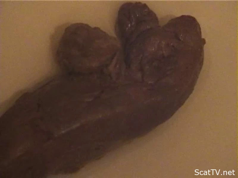 Pussy and ass on the toilet. P1 - Spanking Scat, Project Scat, Shitty Panties